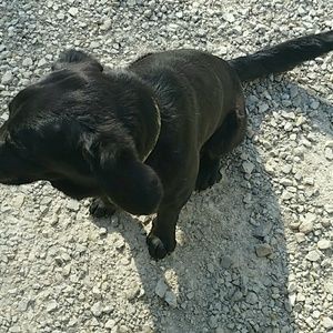 Meet your Posher, Katherine